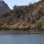 IMG_2258 IMG 2258 150x150 Great Saguaro Lake Trip!